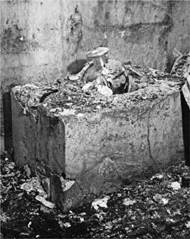 Ghost on the Throne: The Death of Alexander the Great and the War for Crown and Empire _25.jpg