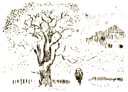 Важный разговор (сборник) i_014.png