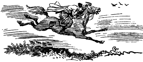 Вечера на хуторе близ Диканьки (с илл.) i_046.png