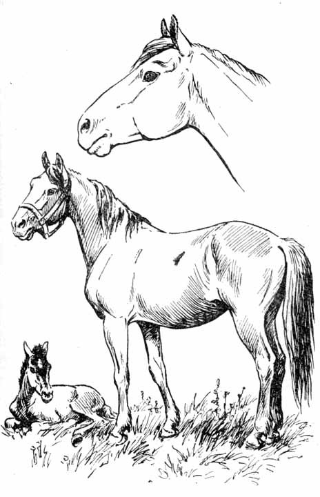 Давайте рисовать i_039.jpg