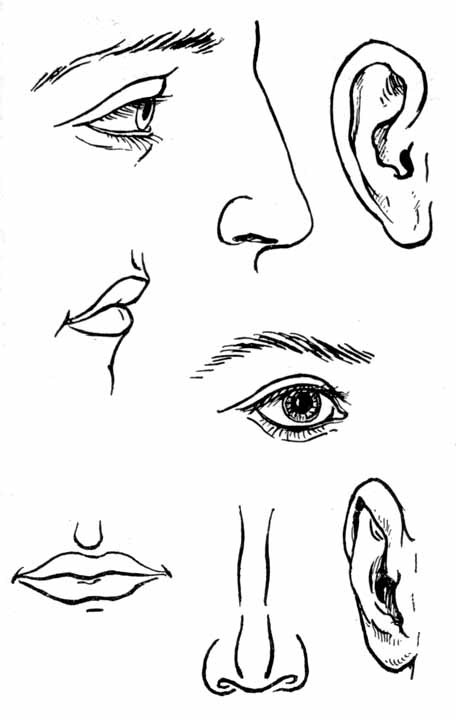 Давайте рисовать i_041.jpg