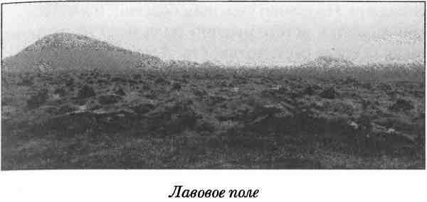 Средневековая Исландия i_004.jpg