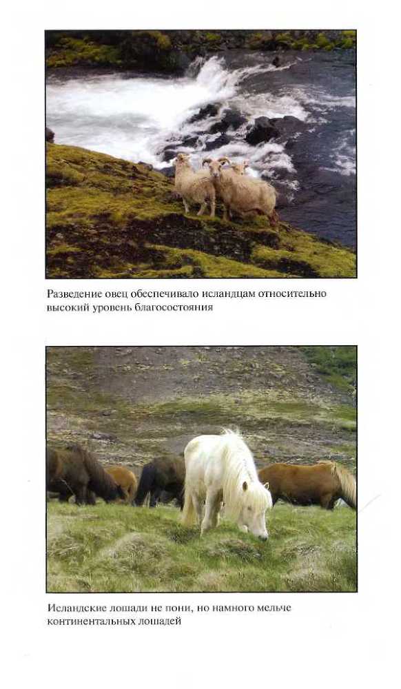 Средневековая Исландия i_083.jpg
