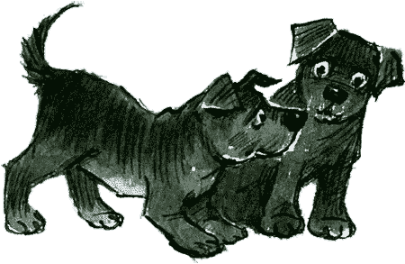 Нос королевы img82.png