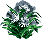 Нос королевы img11.png