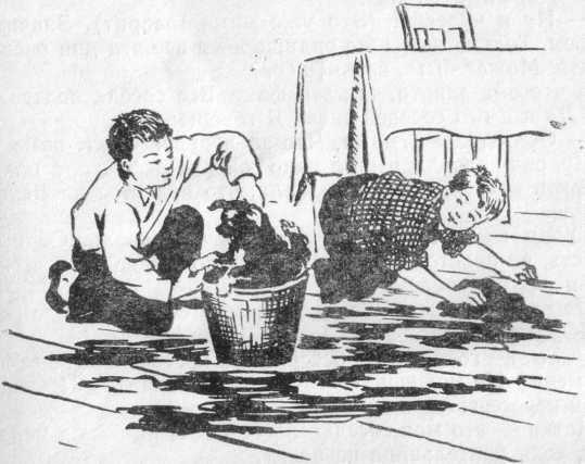 Сила воли image1.jpg