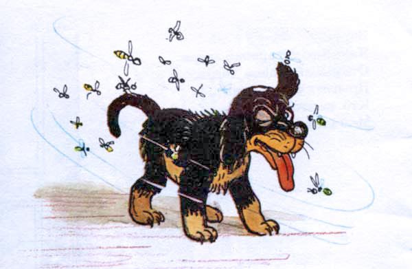 Щенок i_012.jpg