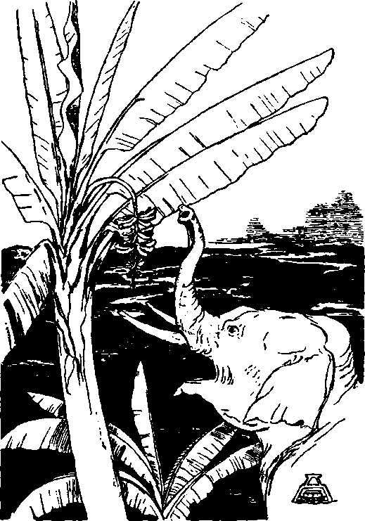 Собрание сочинений. Том 4. Рикша-призрак. Сказки и легенды. Труды дня i_012.png