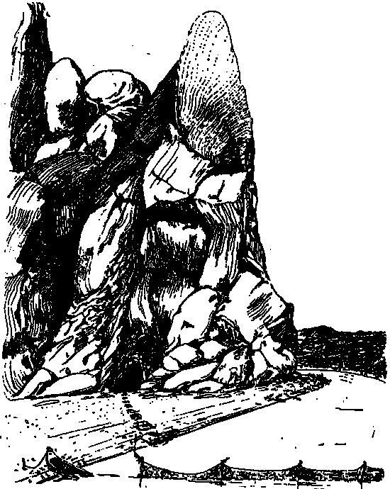 Как кот гулял, где ему вздумается i_003.jpg