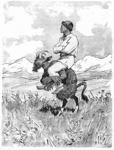 Чудесный сад _14.jpg