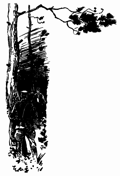 Я 11–17… Небезпечний маршрут i_011.png