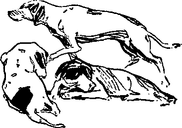 Карафуто i_018.png