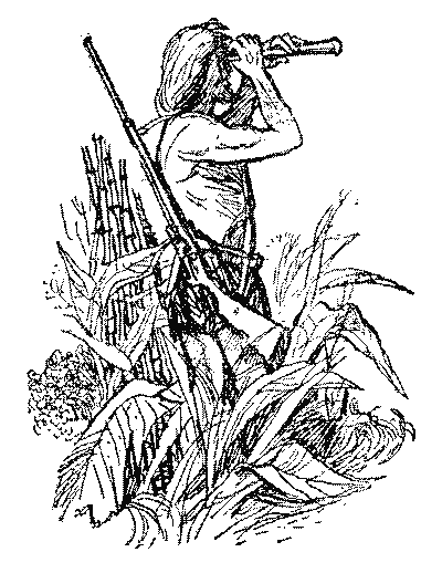 Острів Робінзона i_017.png