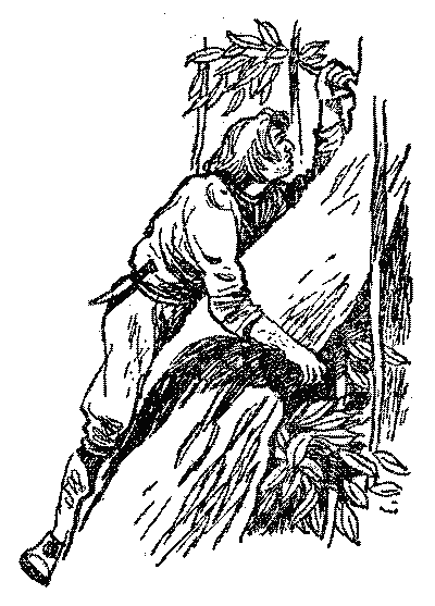 Острів Робінзона i_006.png