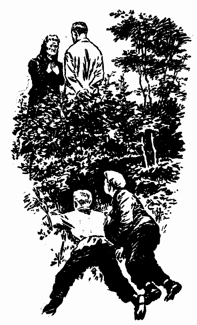 Бронзовий птах doc2fb_image_03000015.png