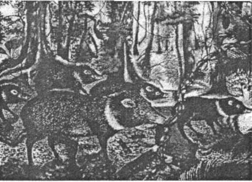 Шаманизм i_016.jpg