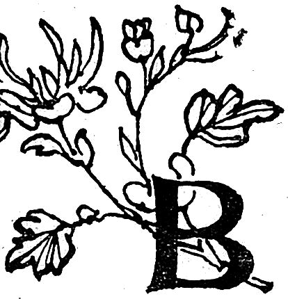 Фаншетта, или Сад Надежды i_004.png