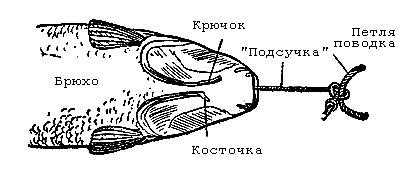 Карп и сазан. Все способы ловли i_037.jpg