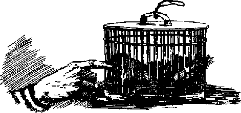 Что я видел (сборник) (с илл.) i_016.png