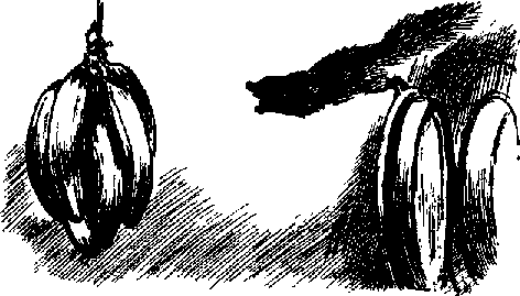 Что я видел (сборник) (с илл.) i_017.png