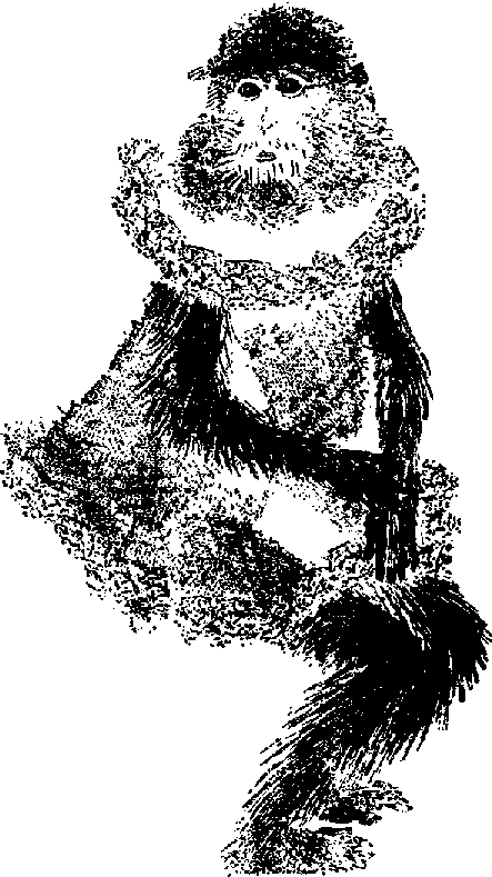Что я видел (сборник) (с илл.) i_018.png