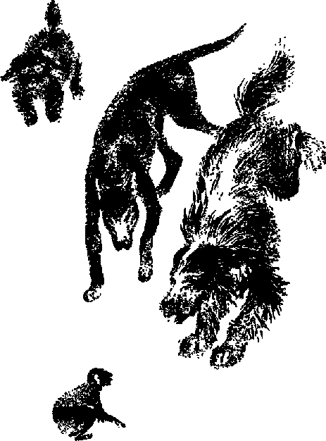 Что я видел (сборник) (с илл.) i_019.png