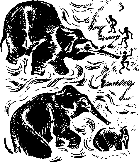Что я видел (сборник) (с илл.) i_024.png