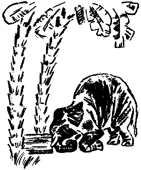 Что я видел (сборник) (с илл.) i_025.png