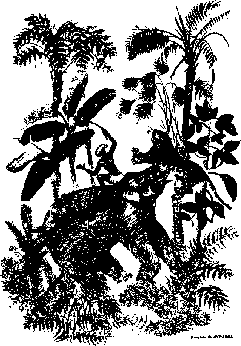 Что я видел (сборник) (с илл.) i_026.png