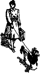 Что я видел (сборник) (с илл.) i_040.png