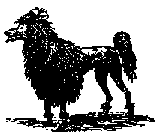Что я видел (сборник) (с илл.) i_047.png