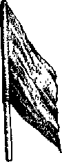 Что я видел (сборник) (с илл.) i_056.png