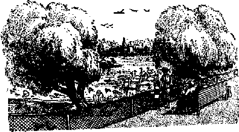 Что я видел (сборник) (с илл.) i_089.png