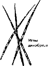 Что я видел (сборник) (с илл.) i_097.png