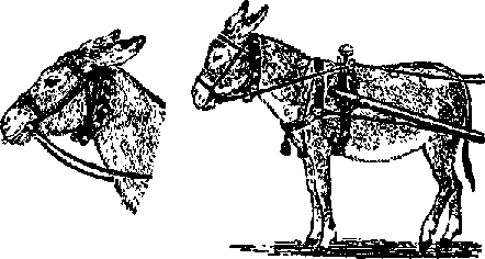 Что я видел (сборник) (с илл.) i_100.png