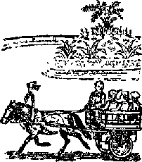 Что я видел (сборник) (с илл.) i_102.png