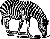 Что я видел (сборник) (с илл.) i_104.png