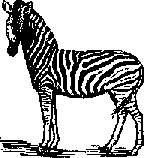 Что я видел (сборник) (с илл.) i_105.png