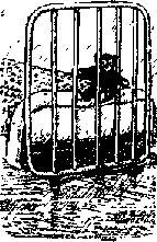 Что я видел (сборник) (с илл.) i_112.png