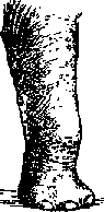 Что я видел (сборник) (с илл.) i_114.png