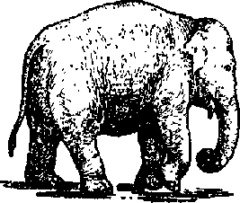 Что я видел (сборник) (с илл.) i_115.png