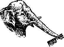 Что я видел (сборник) (с илл.) i_116.png