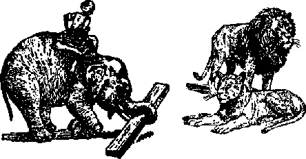 Что я видел (сборник) (с илл.) i_118.png