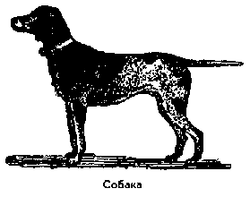 Что я видел (сборник) (с илл.) i_121.png
