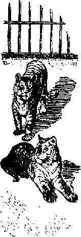 Что я видел (сборник) (с илл.) i_124.png