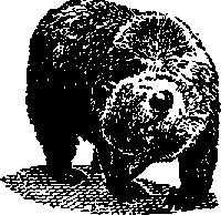 Что я видел (сборник) (с илл.) i_126.png