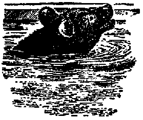 Что я видел (сборник) (с илл.) i_127.png