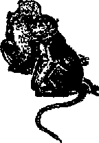 Что я видел (сборник) (с илл.) i_129.png