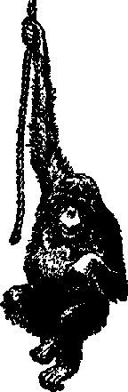Что я видел (сборник) (с илл.) i_130.png