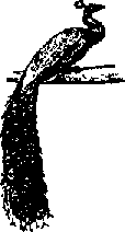 Что я видел (сборник) (с илл.) i_131.png